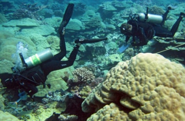 First global assessment of climate change on coral reef by UNESCO