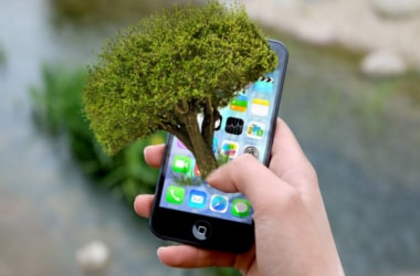 My Plant: mobile app for recording data on tree plantation