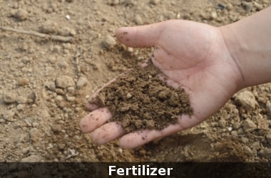 Centre to launch fertilizer subsidy reform