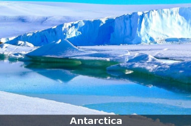 Antarctica turns green due to climate change!