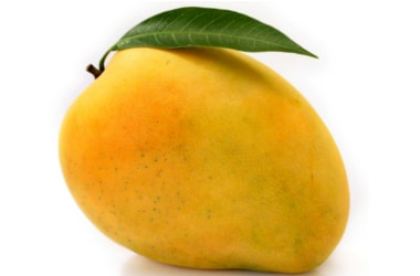 Banganpalle mango gets GI tag