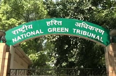 NGT bans ODF, waste dumping in Yamuna floodplains