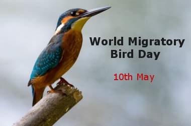 World Migratory Bird Day: 10th May
