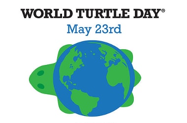 World Turtle Day: 23rd May 2017