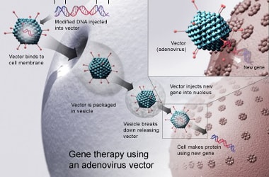 New gene therapy to reduce risk of cancer