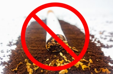 7 Reasons for India to withdraw financial support to tobacco industry