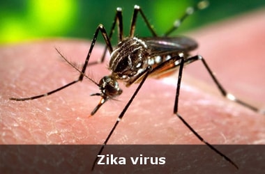 Zika outbreak no longer a world public health emergency
