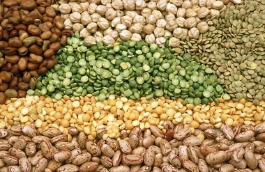 CCEA allows export of pulses