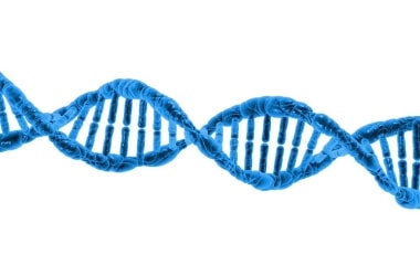 China to build super-sized DNA sequencing platform