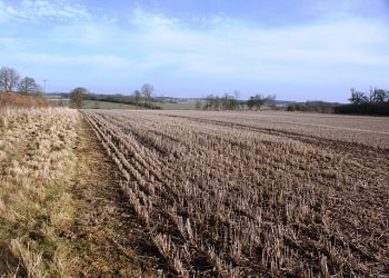 Farm stubble to mitigate concern on air pollution