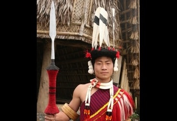 Flowering plant named after Konyak Naga tribe