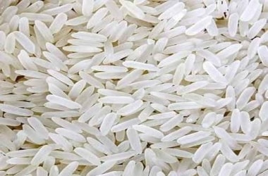 Now, rice with low glycemic index and bacterial resistance developed!