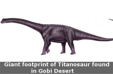 Giant footprint of Titanosaur found in Gobi Desert