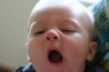Longer yawns a sign of bigger brain size?