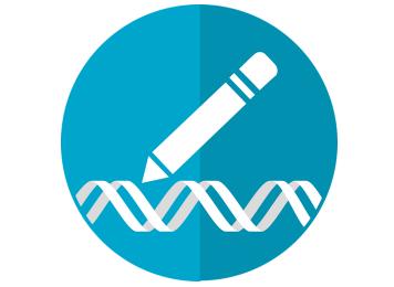 Scientists edit single letters of DNA through REPAIR platform