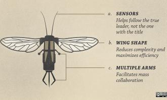 Scientists develop RoboBee that flies, swims and dives!