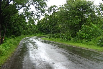 Summer monsoon declines, extreme rain on the rise in Central India