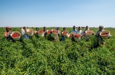 Women of India Organic Festival: Largest festival of organic produce by women farmers