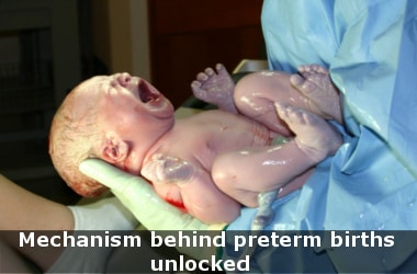 Mechanism behind preterm births unlocked