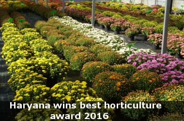 Haryana wins best horticulture award 2016 