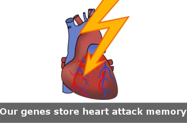 Do you know? - Our genes store heart attack memory