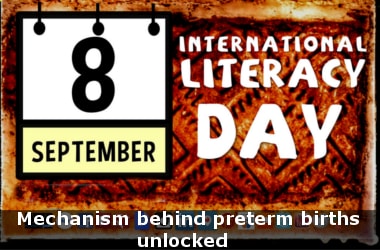International Literacy Day 2016 celebrated on Sept 8
