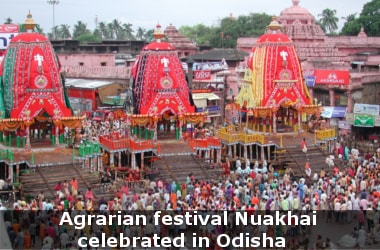 Agrarian festival Nuakhai celebrated in Odisha