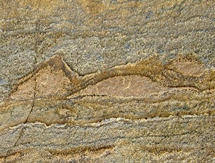 Oldest fossils discovered in Greenland