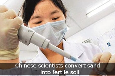 Chinese scientists convert sand into fertile soil