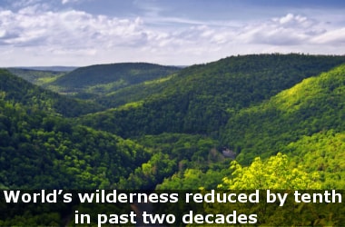 World’s wilderness reduced by tenth in past two decades