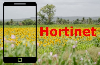 Meet Hortinet - Mobile app for horticulture