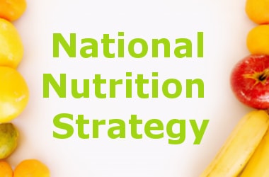 National Nutrition Strategy Launched