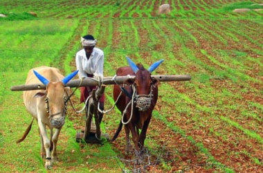 Pledge to double farmer incomes by 2022